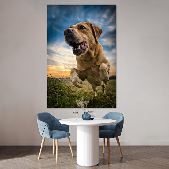 Ciel coloré au dessus de ce Poster Labrador Retriever 120x180 cm - Tirage photo sur Poster (décoration murale salon / chambre) / Poster Animaux domestiques XXL / Groot format!