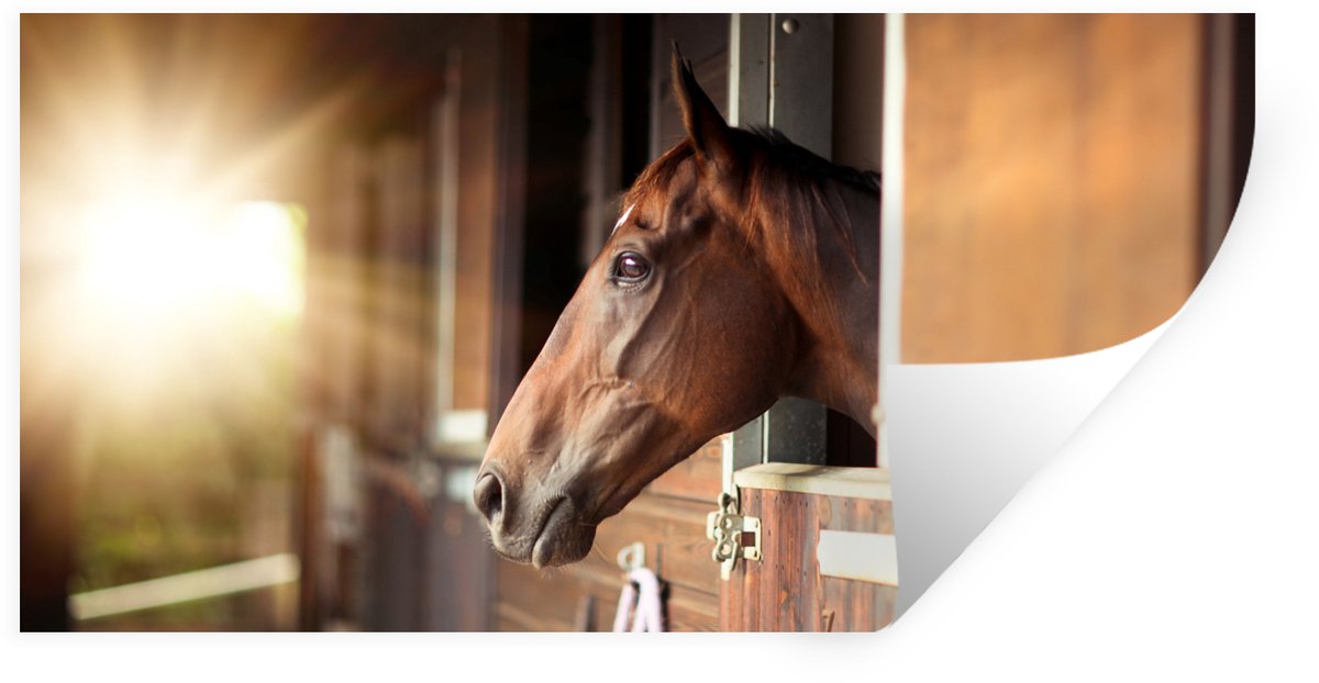 Muurstickers - Sticker Folie - Paard - Stal - Zon - 40x20 cm - Plakfolie - Muurstickers Ki