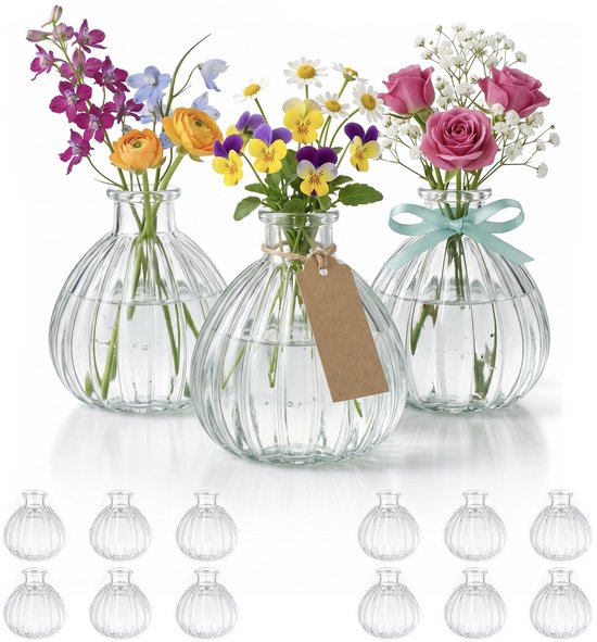 12 x kleine bloemenvaas, tafelvaas, decoratie bruiloft, party, set heldere glazen flessen (12 stuks prime) (pompoen-OK)