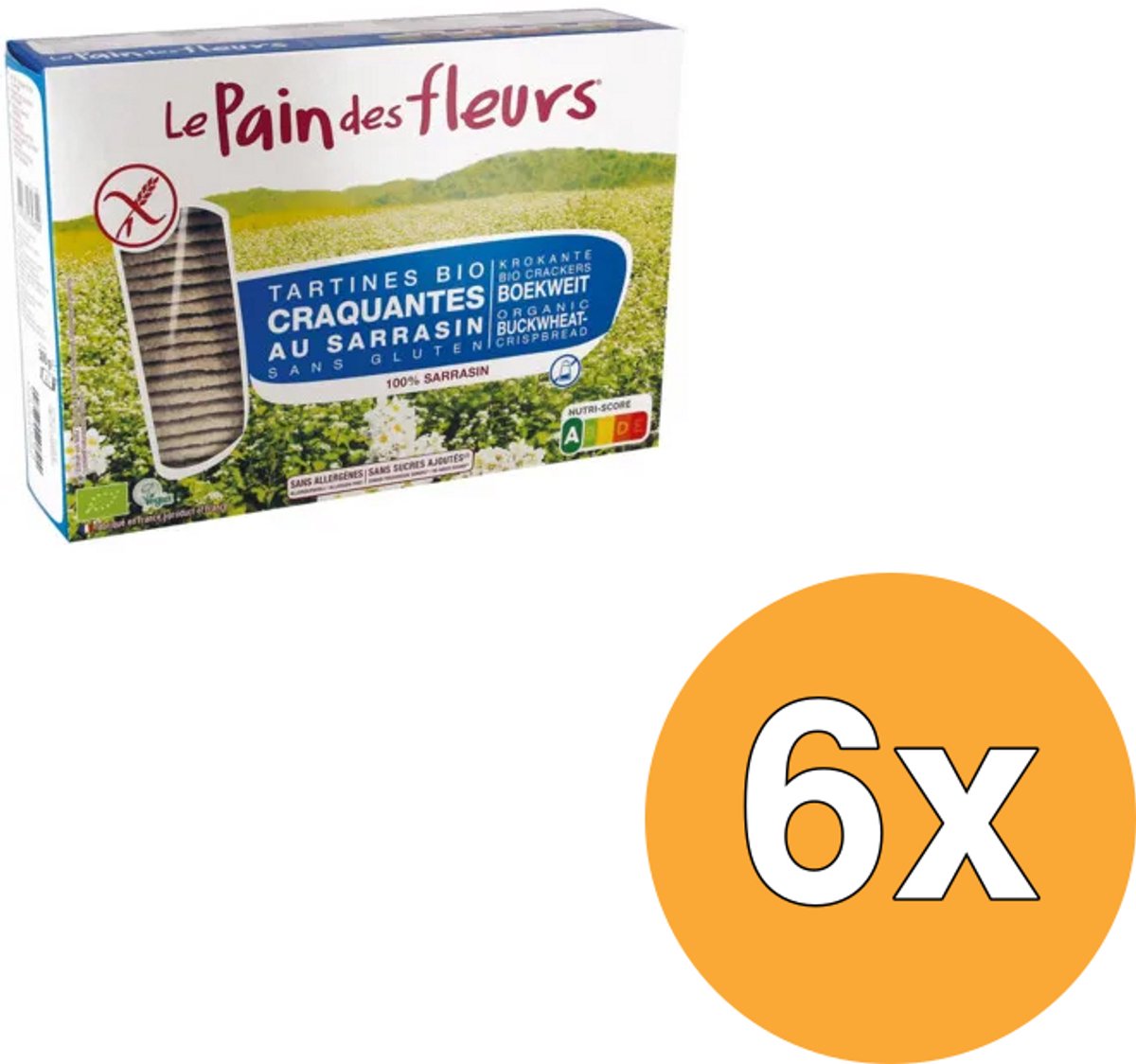 6x Le Pain Des Fleurs Boekweitcrackers Zonder Zout Bio (300 gr)