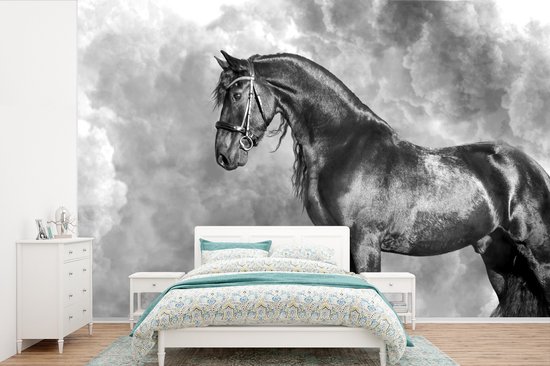 Zwart-wit fotobehang van een Fries paard met hoofdstel, staand tegen een achtergrond van wolken.