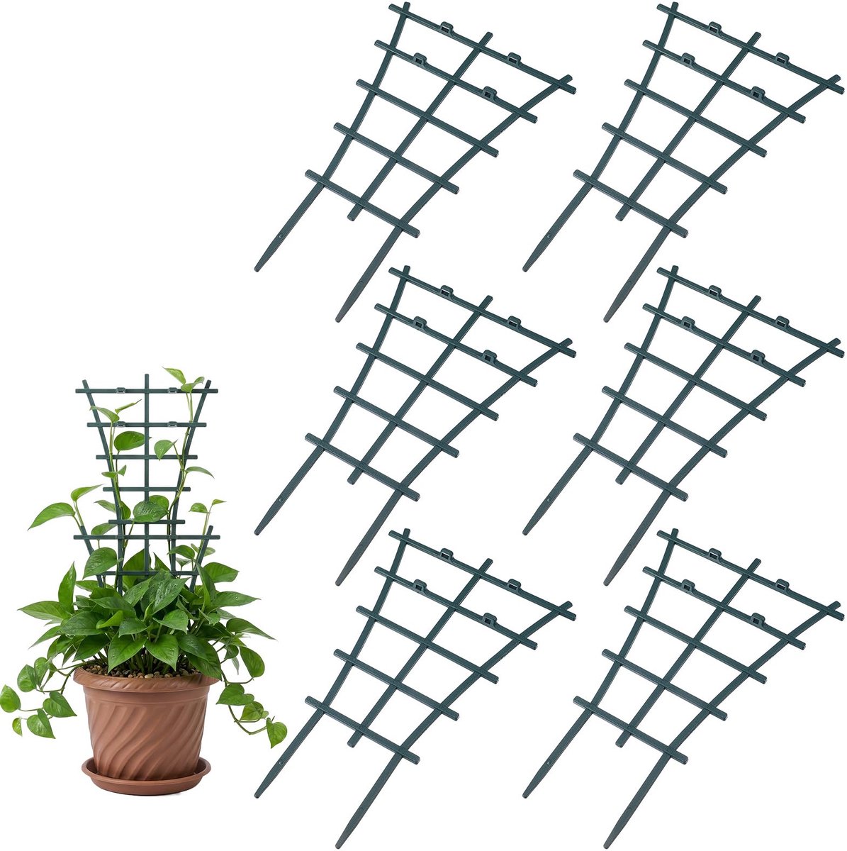 6 stuks rankhulp kamerplanten, plantenrooster voor kamerplanten, 24,5 x 15 x 1 cm, duurzame kunststof plantensteun, corrosiebestendig, herbruikbaar (groen)