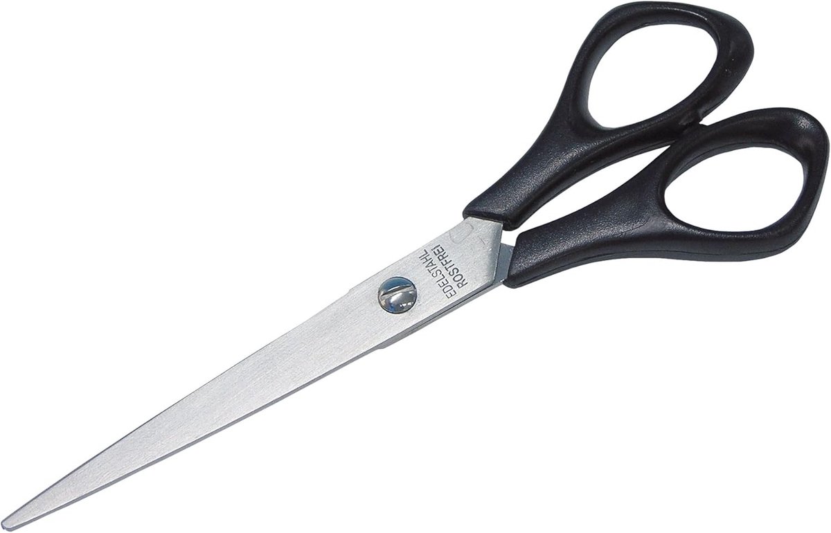 Thijox - Roestvrijstalen Scharen 16 cm - Messcherpe Keuken- en Tuin Schaar met Zwarte ABS Handgreep - Ideaal voor Knippen en Knutselen