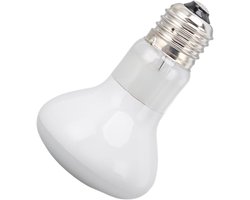 Reptielen Warmtelamp - Terrarium Verlichting - Natuurlijke Simulatie - Energie-efficiënt - 75W - Wit