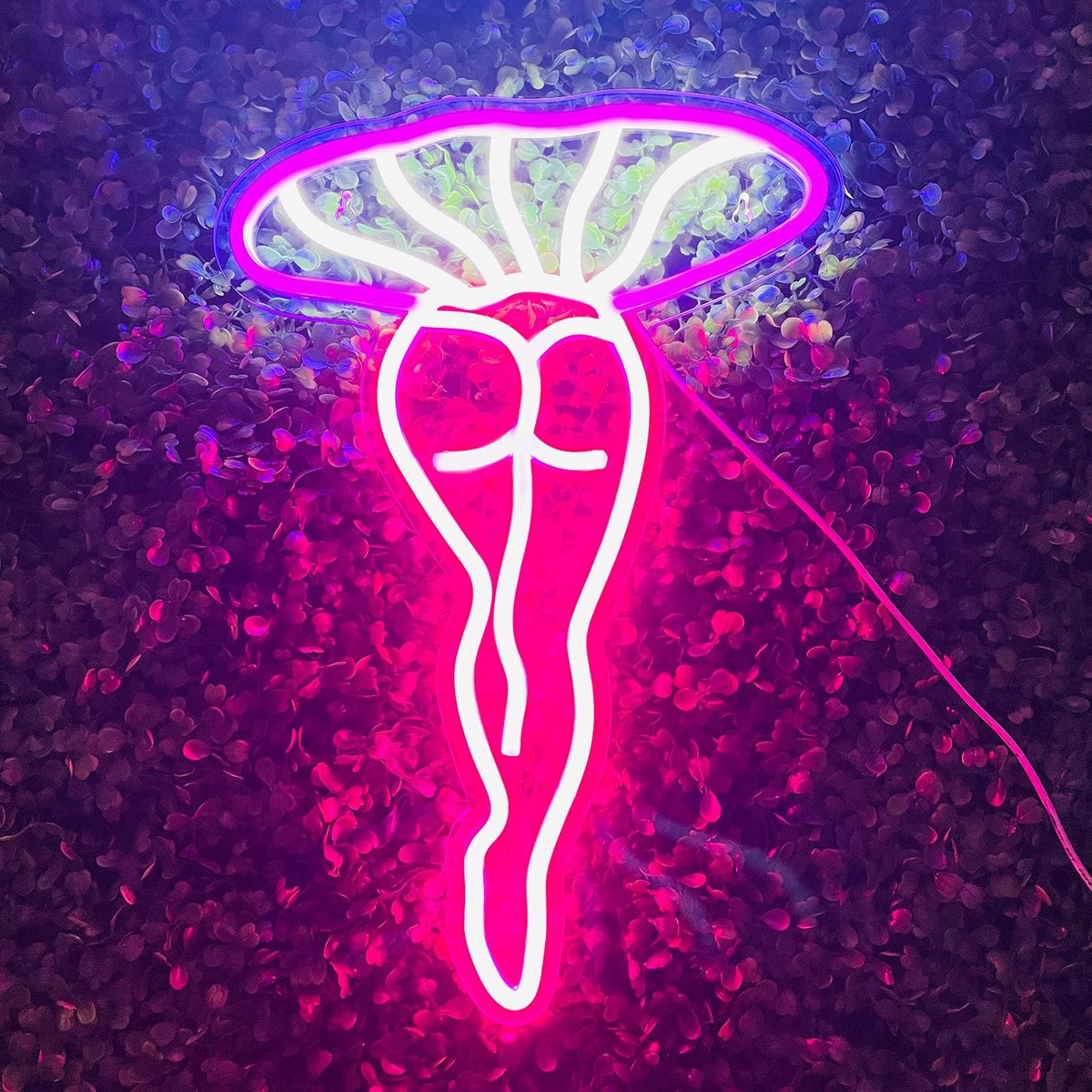 SnelShoppen - Lady Mushroom Neon Light LED Nachtverlichting - USB Neon Sign voor Man Cave, Home Bar, Slaapkamer, Muur Decor, Party Art Decoratie, Paar