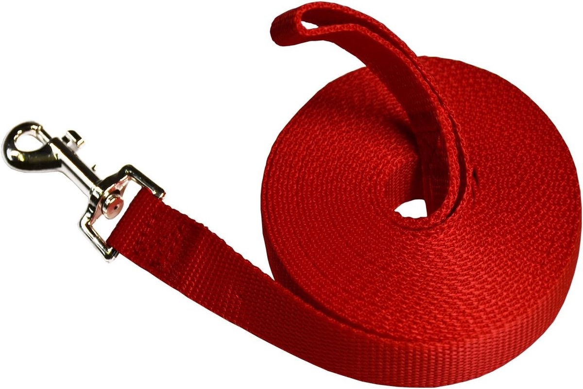 Duurzame en Lichtgewicht Hondenriem van 5 Meter van Nylon met Zink Legering Gesp voor Veiligheid en Comfort