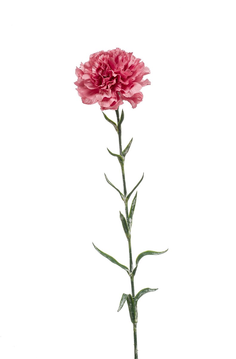 Emerald Kunstbloem Anjer 67cm oudroze - Kunstplant voor binnen