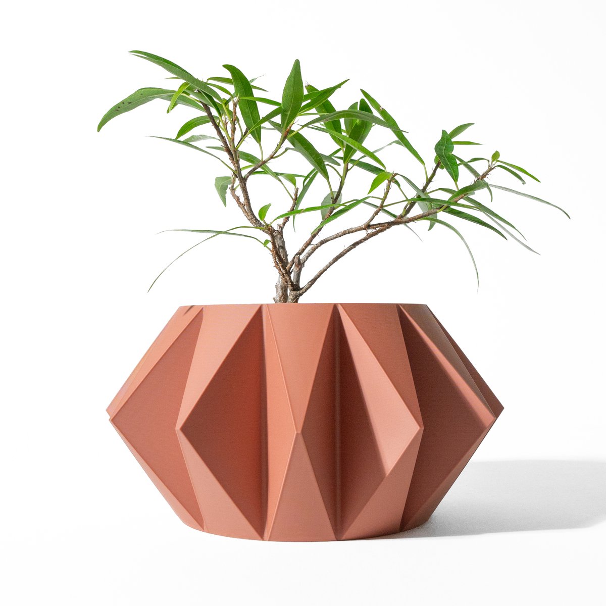 Skushy Koni Bloempot - Moderne Designpot voor Kamerplanten - Sculpturale Plantenpot voor Woonkamer en Kantoor - Premium Woondecoratie