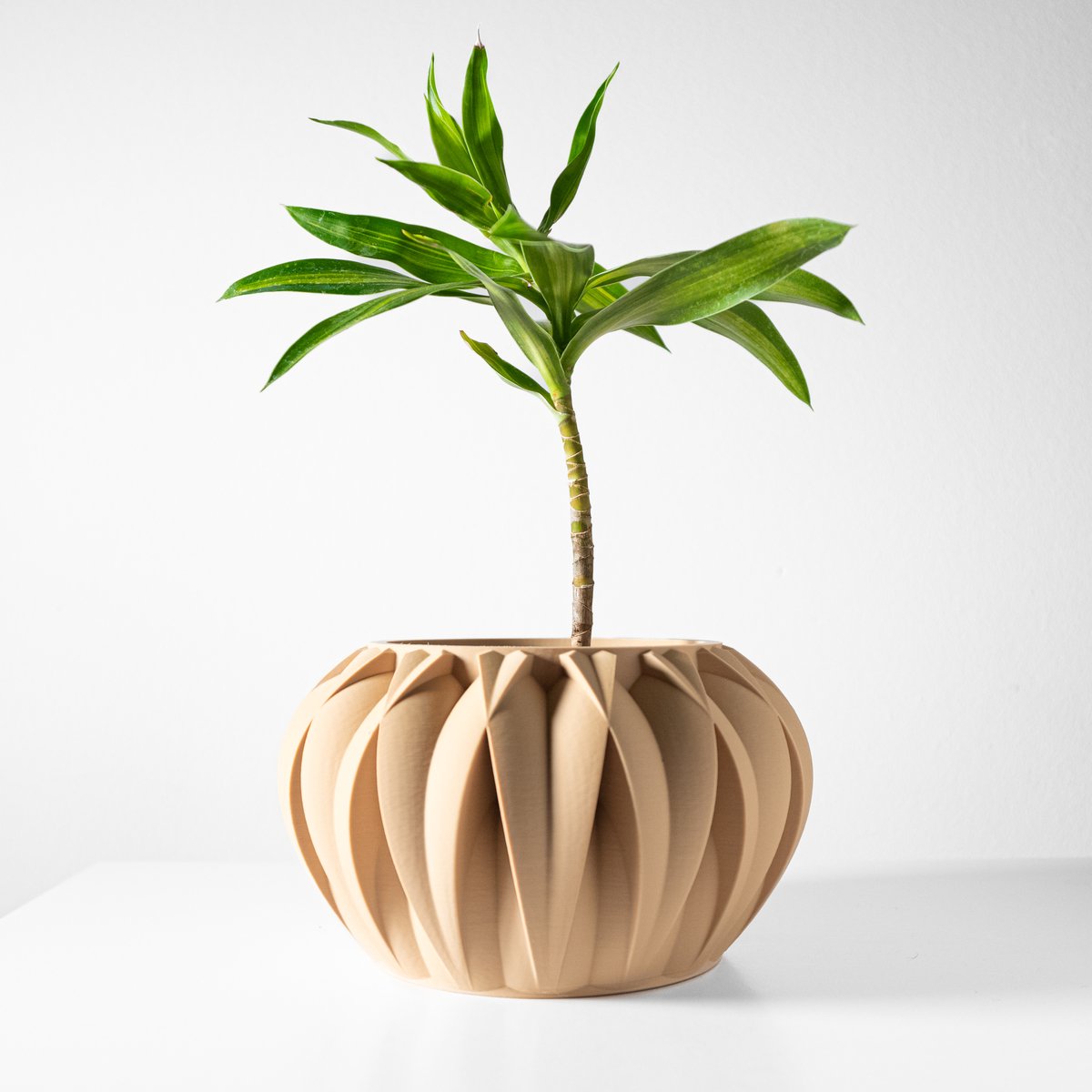 Skushy Halden Bloempot - Moderne Designpot voor Kamerplanten - Sculpturale Plantenpot voor Woonkamer en Kantoor - Premium Woondecoratie