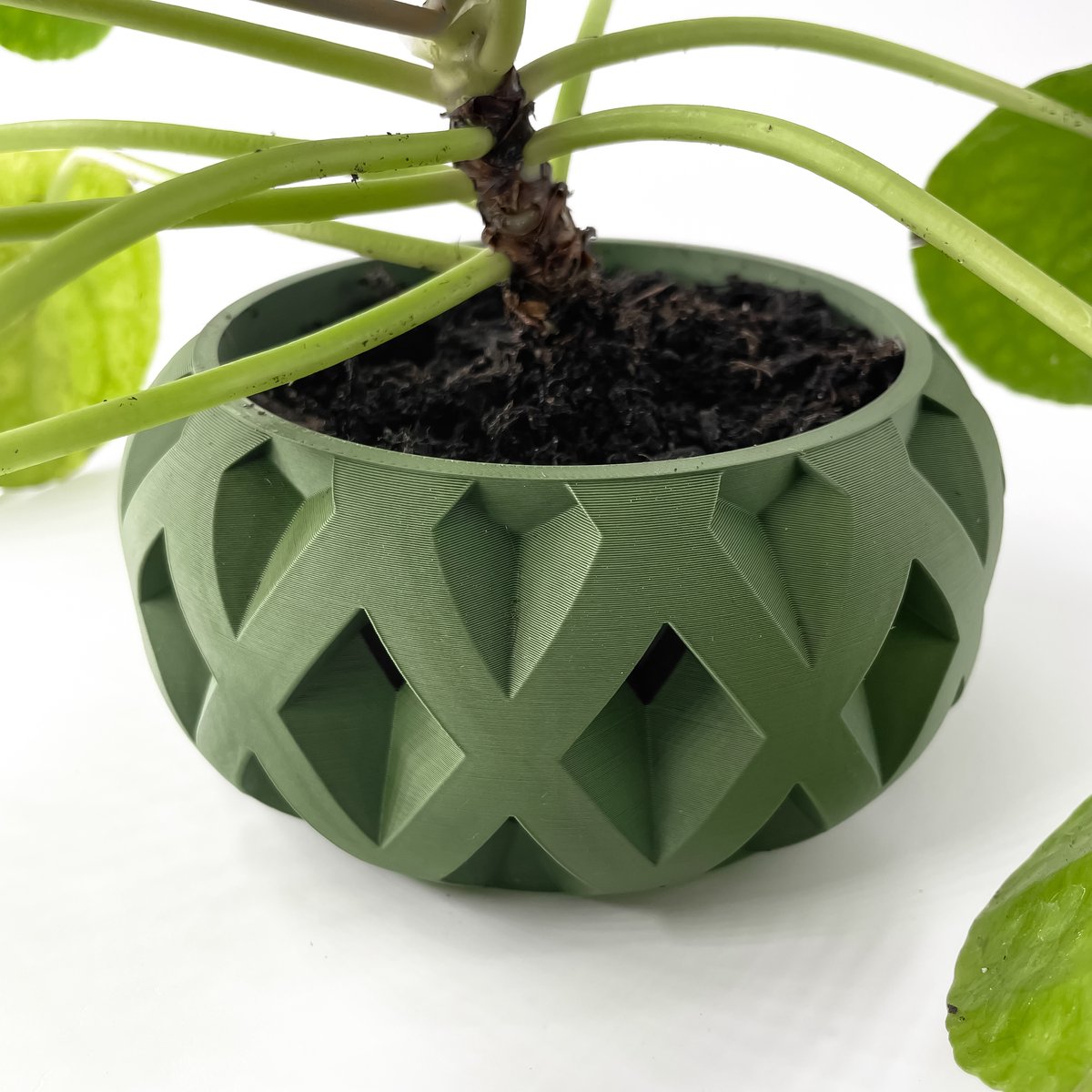 Skushy W5 Bloempot - Moderne Designpot voor Kamerplanten - Sculpturale Plantenpot voor Woonkamer en Kantoor - Premium Woondecoratie