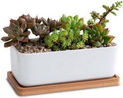 Keramische Plantenbak - Bloempot Dienblad - Planten Verpotten - Uniek Langwerpig Ontwerp - 17x8.5cm - Wit