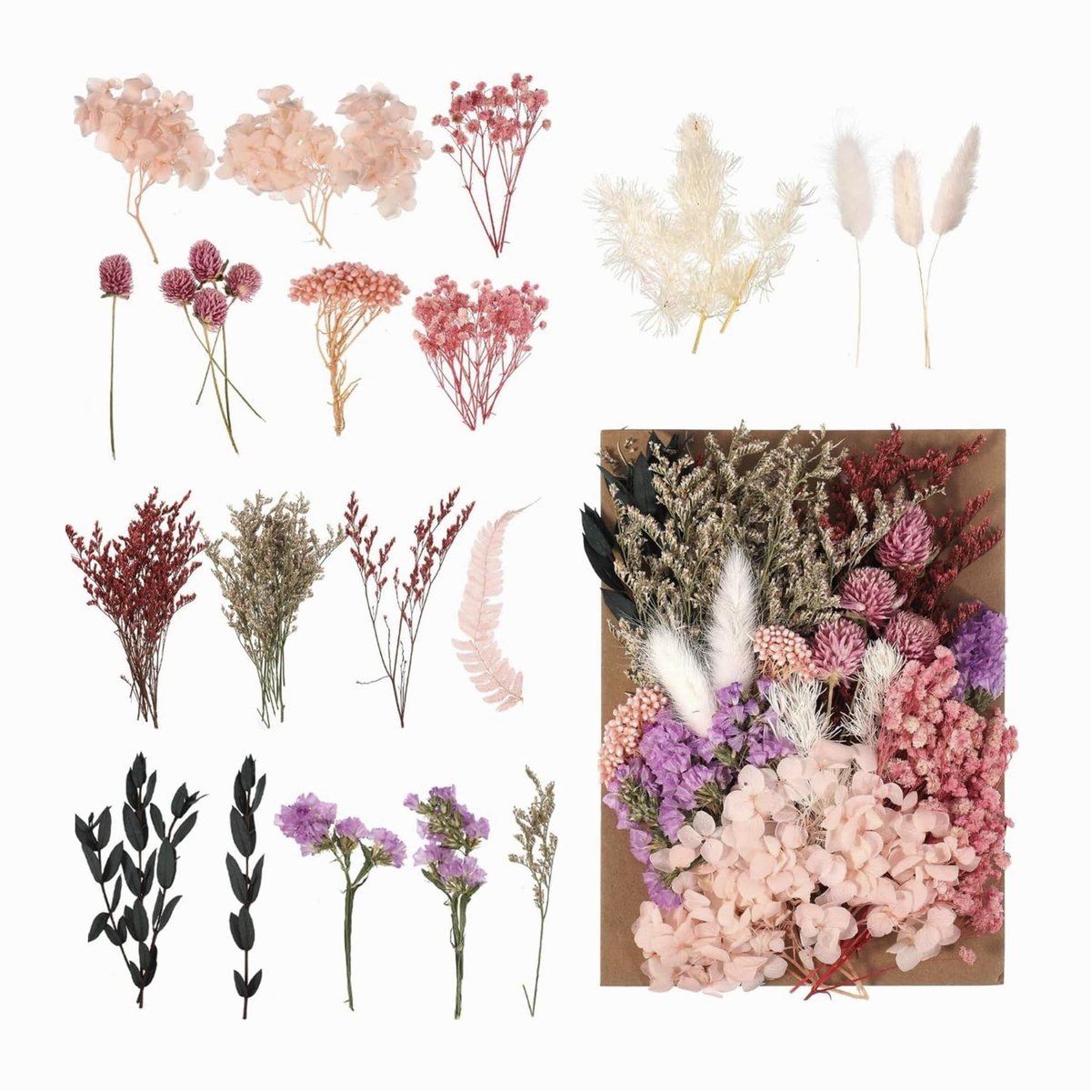 Dailygoods- Droogbloemenpakket Natuurlijke gedroogde bloemen - Decoratieve bloemen - Woondecoratie - Cadeau - Geconserveerde bloemen - Kleurvariatie
