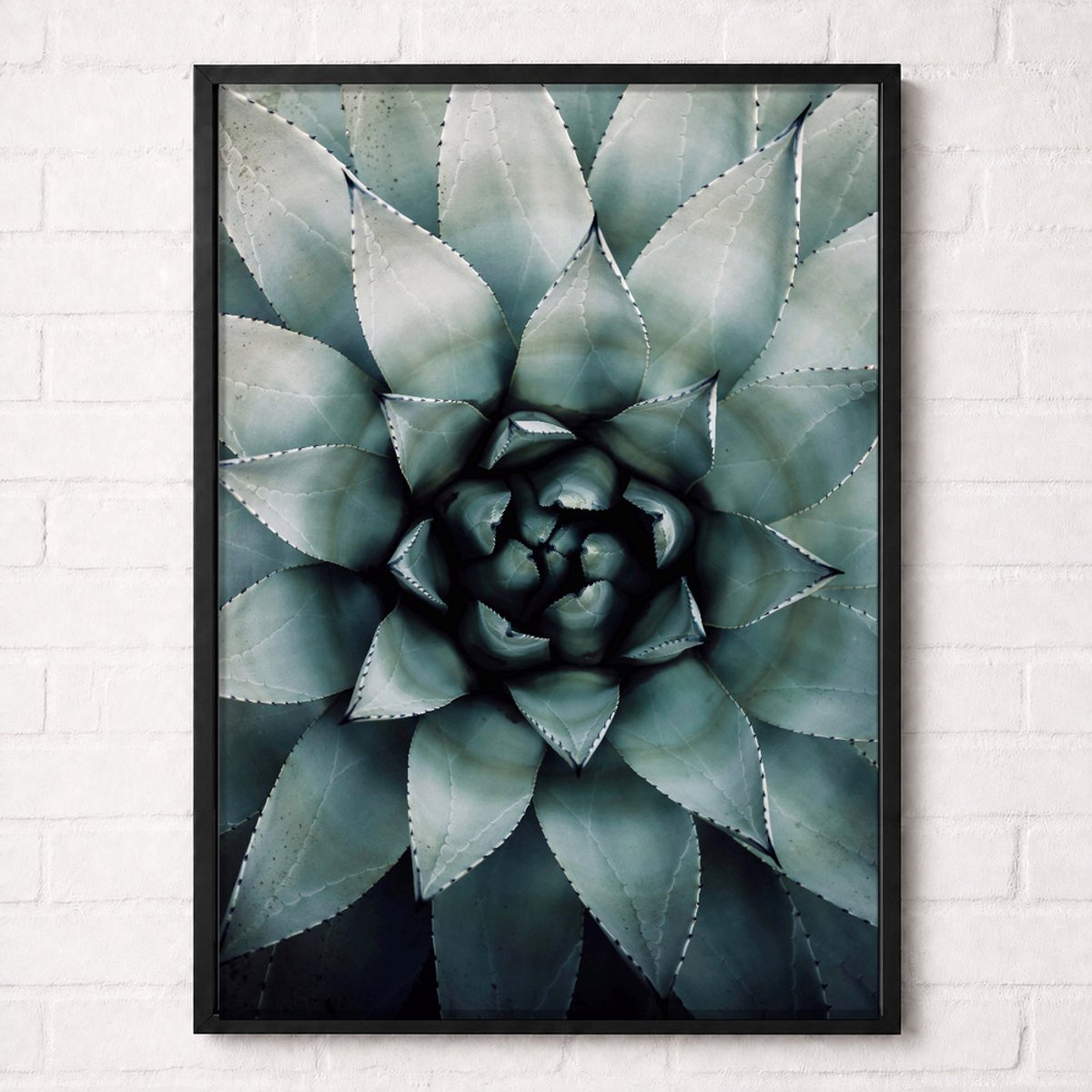 Blauwe Agave Close-up Poster - Botanical Nature Collection - Natuur Posters - A2+ 43,2 x 61 cm