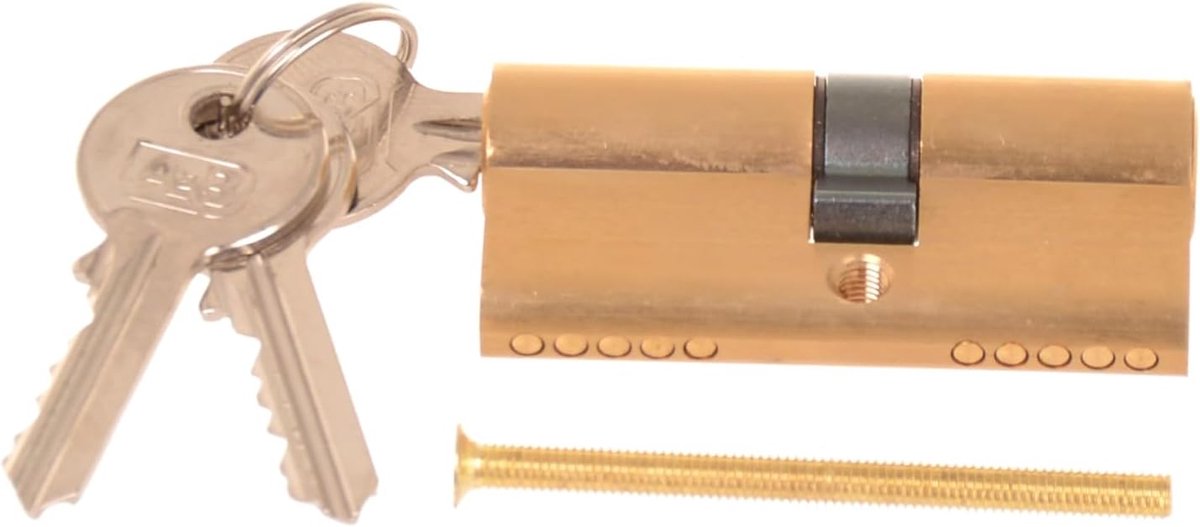 Profile Cylinder Brass 30/40 mm, 3 Keys, Standard Door Cylinder for Front Door, Home, Garage, Garden Shed, Robust - ShopVlot