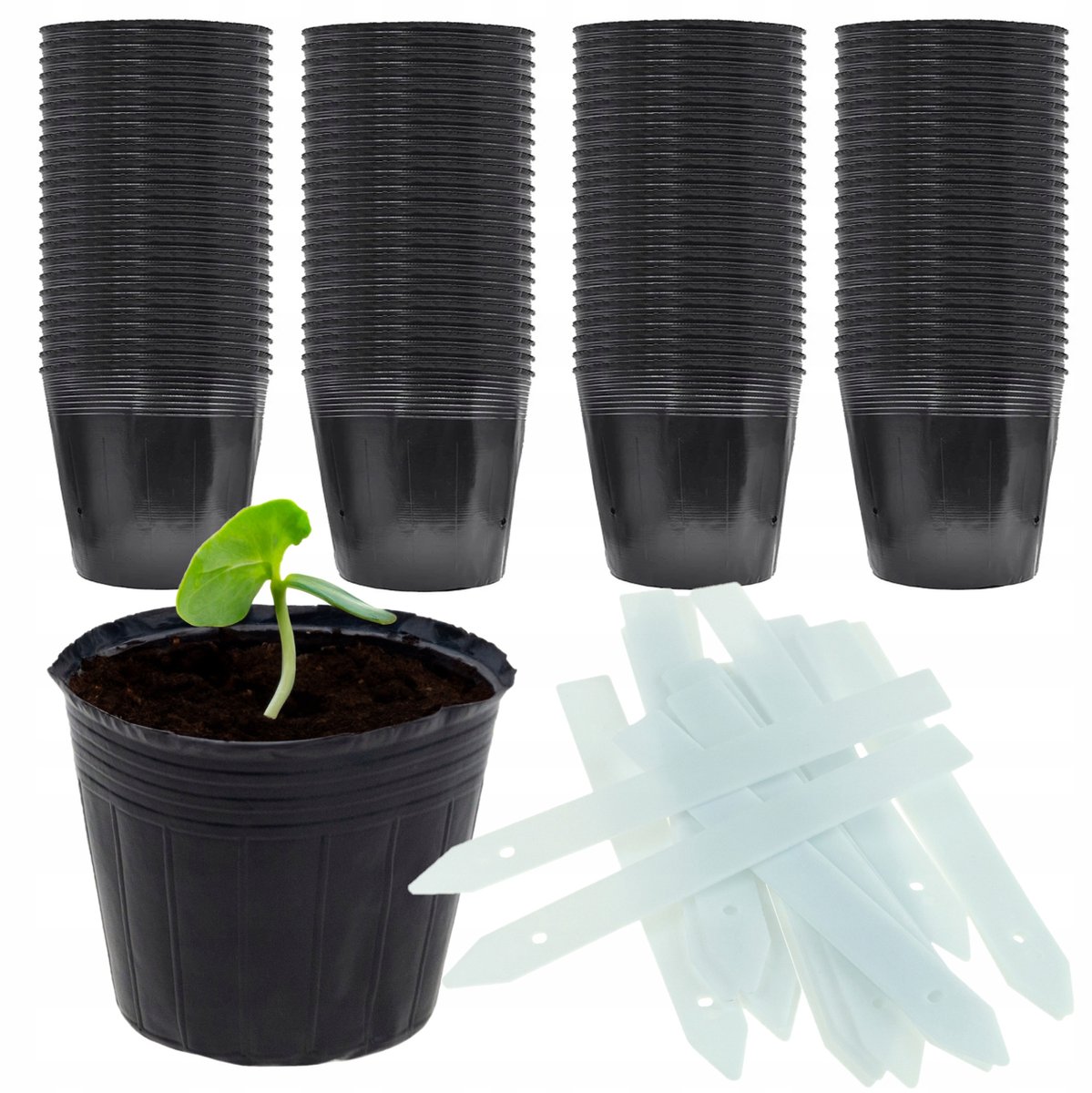 100x Merkloze Kweekpotjes 8x8cm met 10 Plantenstekers