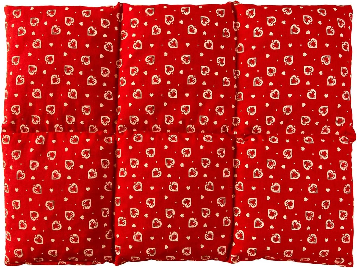 Flax Seed Cushion Large 40 x 30 cm 6 Rooms Heart Red Heat Cushion Grain Cushion for Microwave and Oven e.g. for Back - ShopVlot
