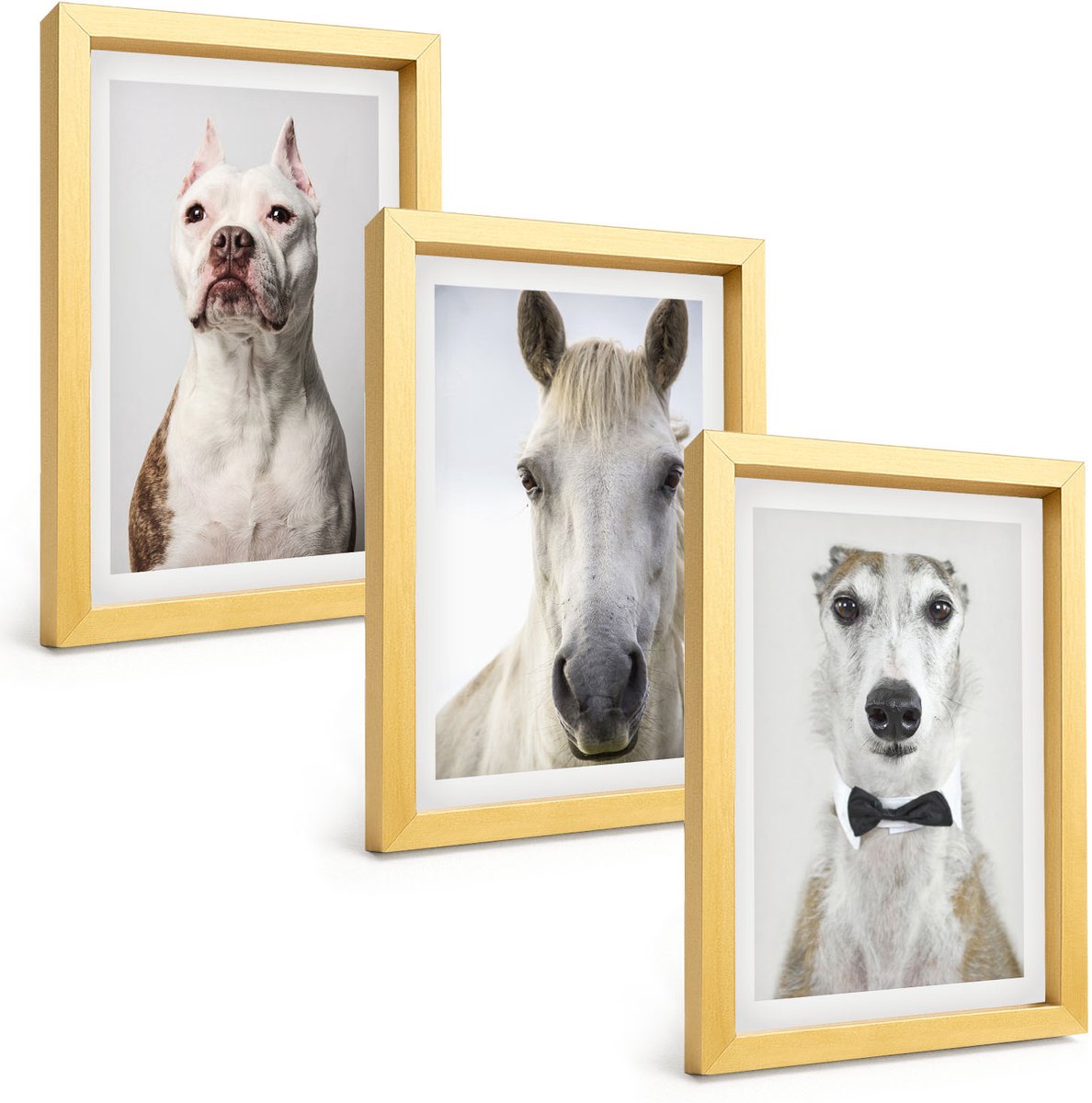 TULUP 4-Delige Schilderij Set - Interessante portretten van honden en paarden in een elegante stijl. - 20 x 30 cm - Moderne Wanddecoratie - Slaapkamer - Interieur Decoratie Gouden lijst