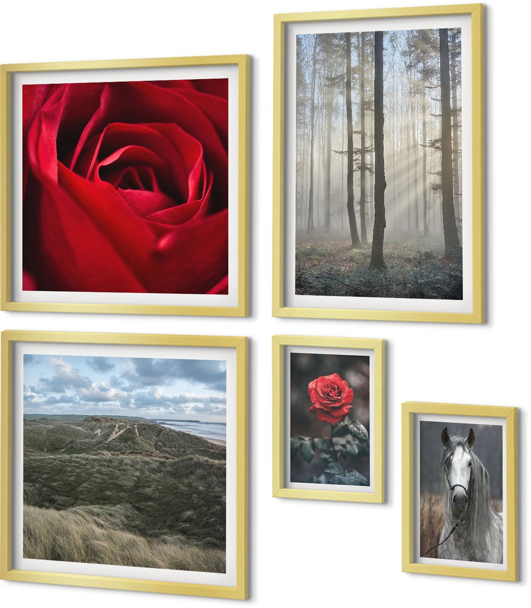 Coloray 5-Delige Schilderij Set - Natuur En Bloemen In Diverse Opnames En Stijlen. - 50 x 50 cm, 20 x 30 cm En 40 x 60 cm - Stijlvolle Wanddecoratie - Interieur - Decoratieve Schilderijen