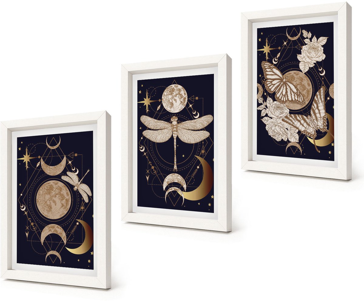 Coloray 3-Delige Schilderij Set - Natuurthema's met de maan, de ruimte en bloemen. - 20x30 - Muurdecoratie - Interieur Decoratie - Moderne Wanddecoratie