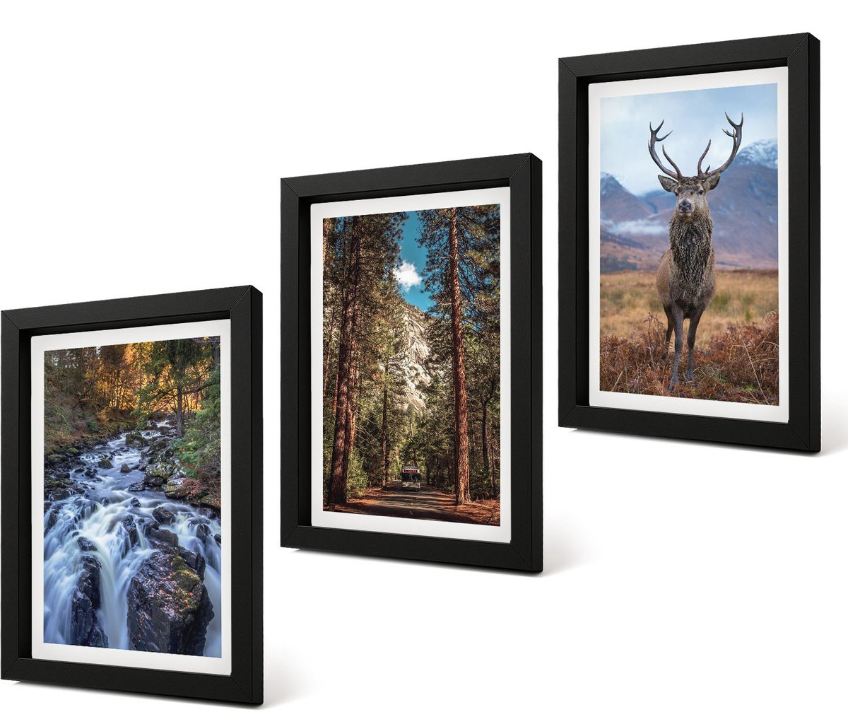 Coloray 4-Delige Schilderij Set - Waterval in het bosgebergte en herten in de natuur - 20 x 30 cm - Wanddecoratie - Muurdecoratie - Woonkamer - Decoratieve Schilderijen