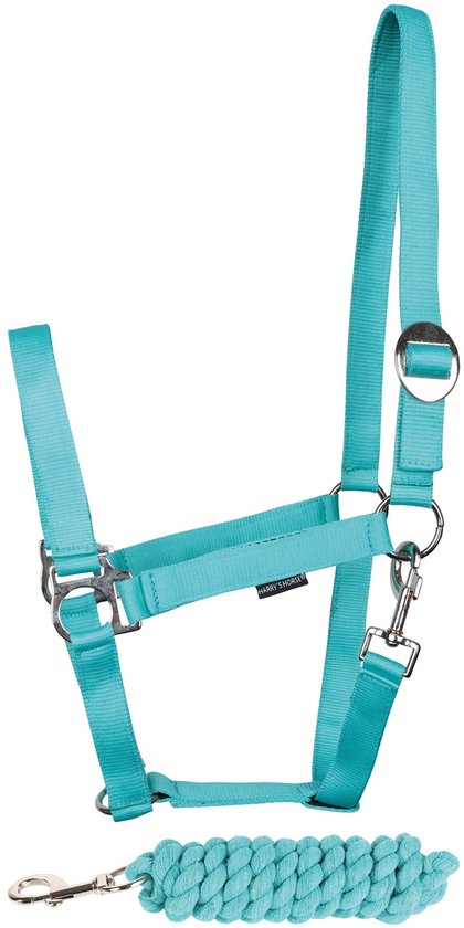 Turquoise halster met bijpassend halstouw. Gemaakt van nylon met zilverkleurige gespen.