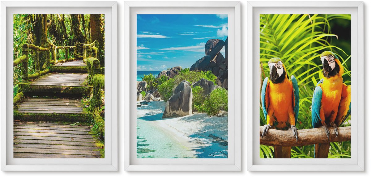 Wallfluent 3-Delige Schilderij Set - Tropisch Bos Met Waterval En Kleurrijke Papegaaien - 40 x 60 - Stijlvolle Muurdecoratie - Kantoor - Interieur Decoratie