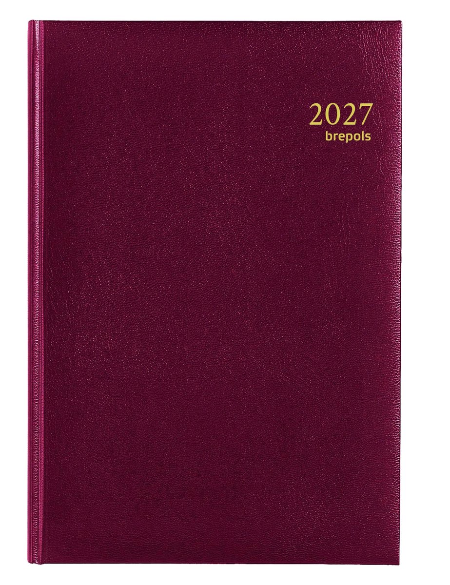 Afsprakenplanner 1 dag per pagina - formaat 14,8 x 21 cm - bordeauxrood - handig voor overzicht - ShopVlot