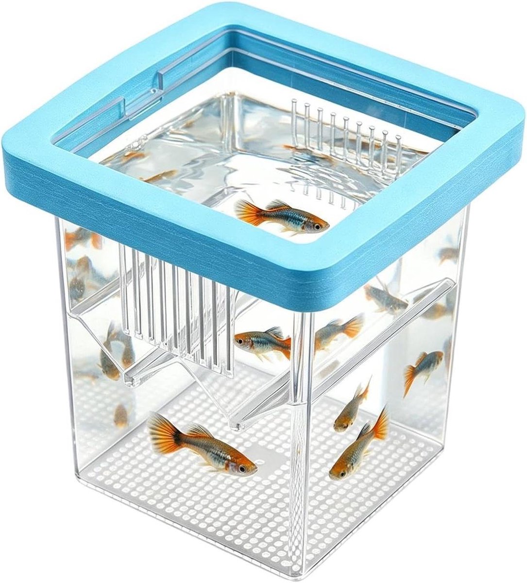 Visbroedbox Aquarium - Kweekbak Isolatiebak - Vissen Kweken - Verhoogt Overlevingskans - 8.6 x 8.6 x 11 cm - Blauw