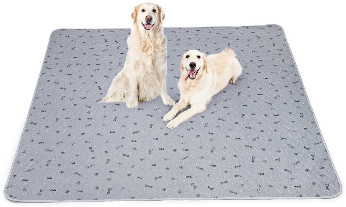 Omgoods - Absorberende Puppy Mat 182 x 182 cm, Waterproof en Wasbaar