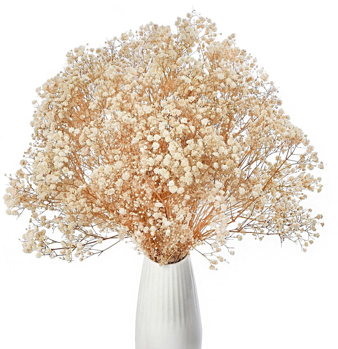 Omgoods - Gedroogde Gypsophila Bloemen voor Decoratie