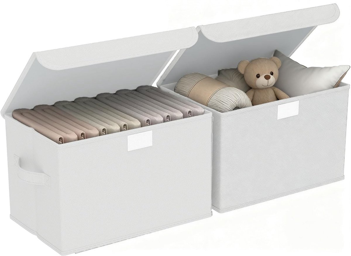 Omgoods - Set van 2 Opbergdozen met Deksel voor Kleding en Speelgoed