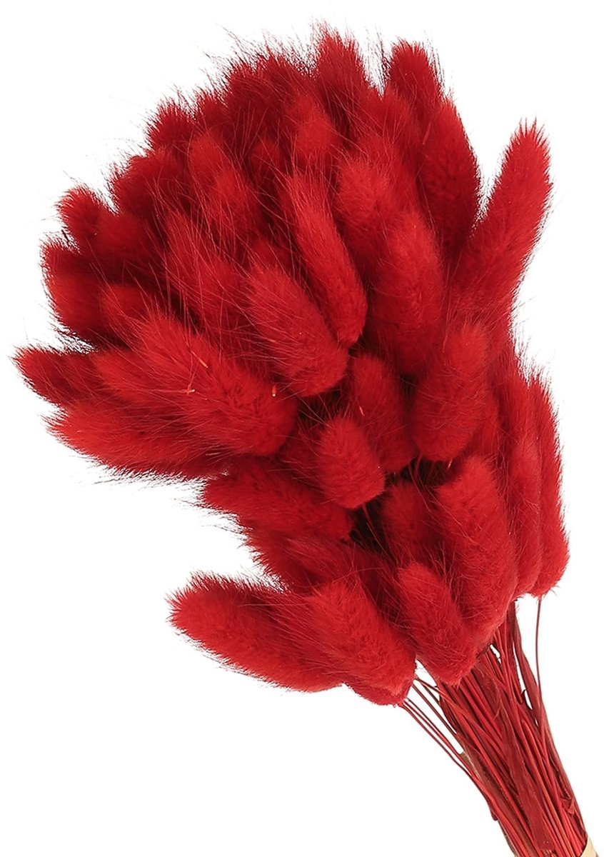 Omgoods - Konijnenstaarten Gedroogde Bloemen 70 Stuks voor Boho Decor