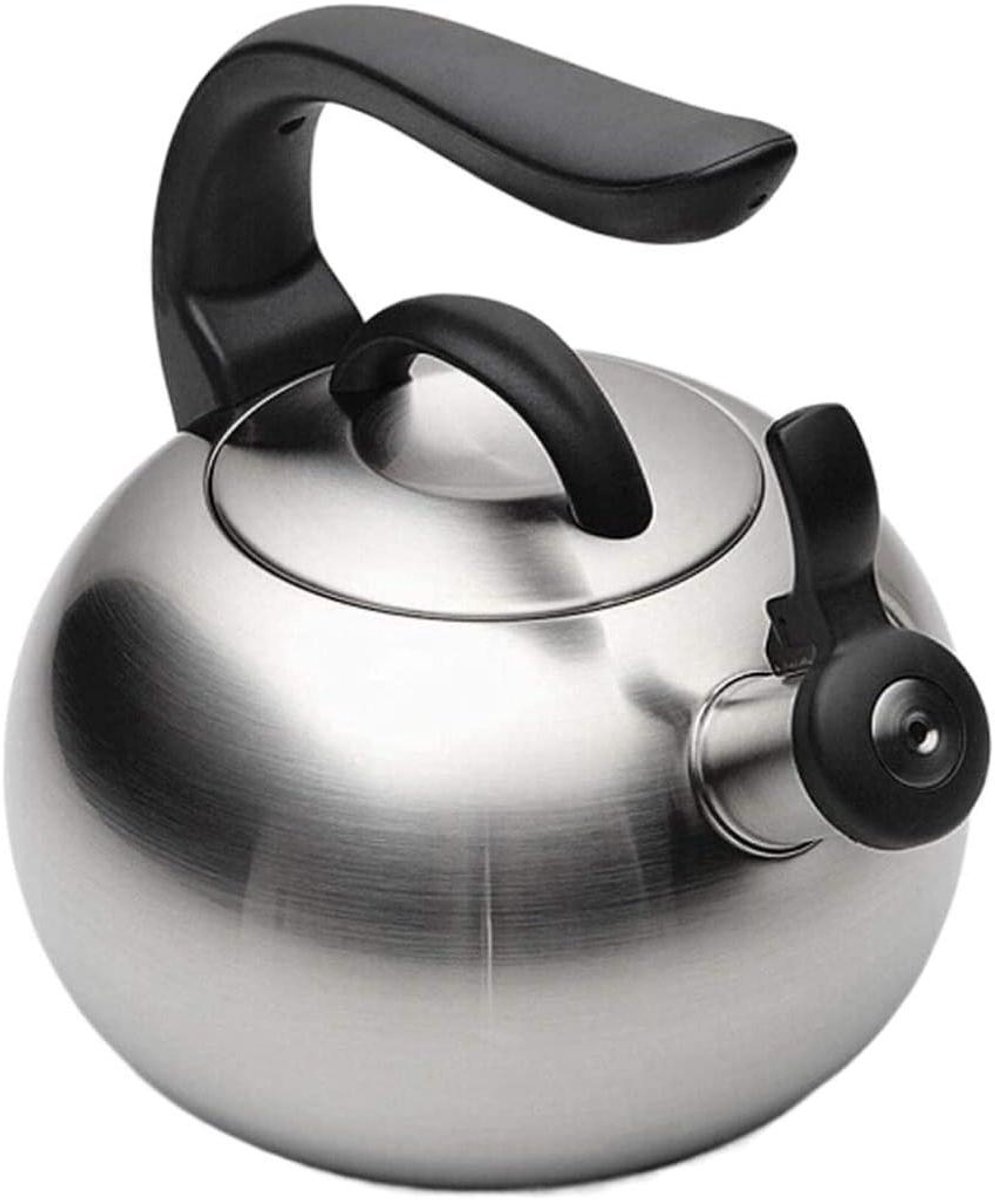 Fluitketel RVS - Waterketel Theepot - Water Koken - Automatisch Fluitend - 2.6L - Zilver