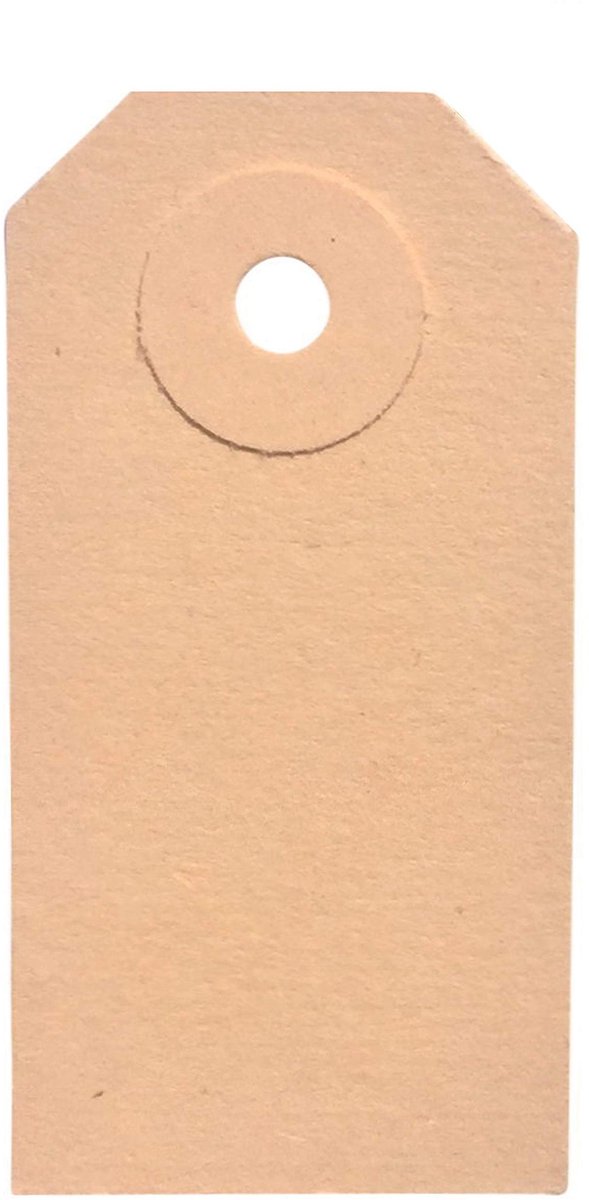 Omgoods - 1000 Stuks Kartonnen Labels 30 x 60 mm met Versterkte Gat