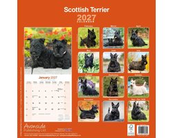 Schotse Terrier Kalender 2027