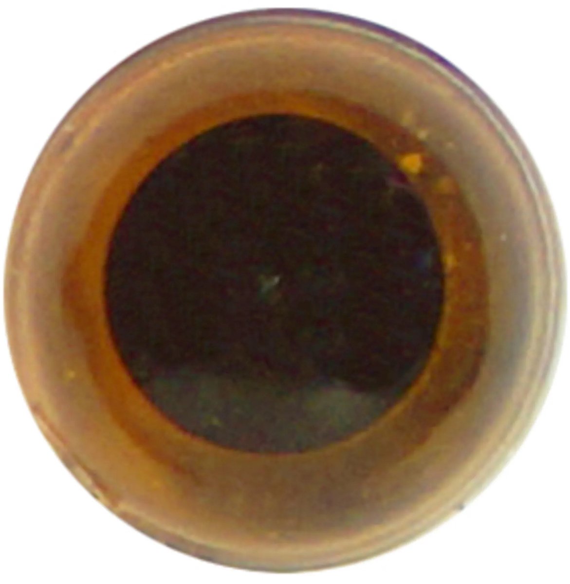 Veiligheidsogen 6 mm(10stuks)