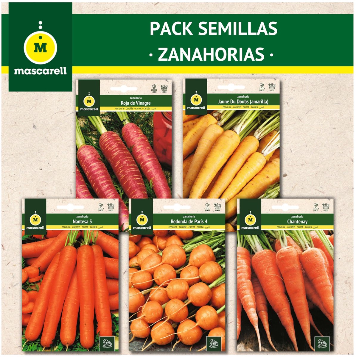 SnelShoppen - Zaden Mascarell, PAKKET ZADEN WORTELS, Gemakkelijk Thuis Te Kweken, 5 Soorten Bijzondere Wortels, 55 Gram voor Tuin, Moestuin, en Groent