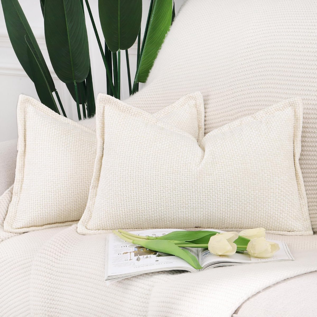 SnelShoppen - Set van 2 zachte chenille fluweel kussenhoezen met rand, moderne decoratieve kussenhoezen voor bank, woonkamer, slaapkamer, crème, 40 x
