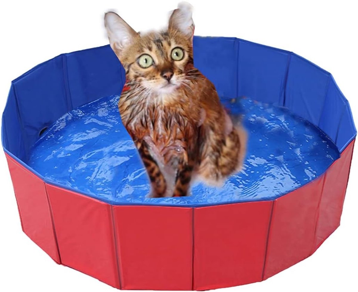 Vouwbare Hondenbad, Geschikt voor Kinderen, Milieuvriendelijk PVC, Antislip, Zwembad met Afvoerklep, Zomer Paddelbad voor Honden en Katten, 50 x 8 cm, Ideaal voor Buitenactiviteiten en Verkoeling