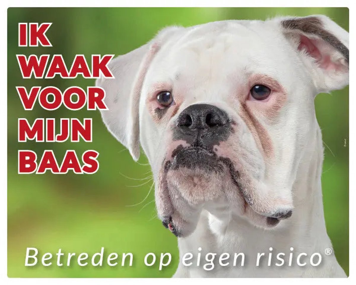 Boxer Wit Waakbord