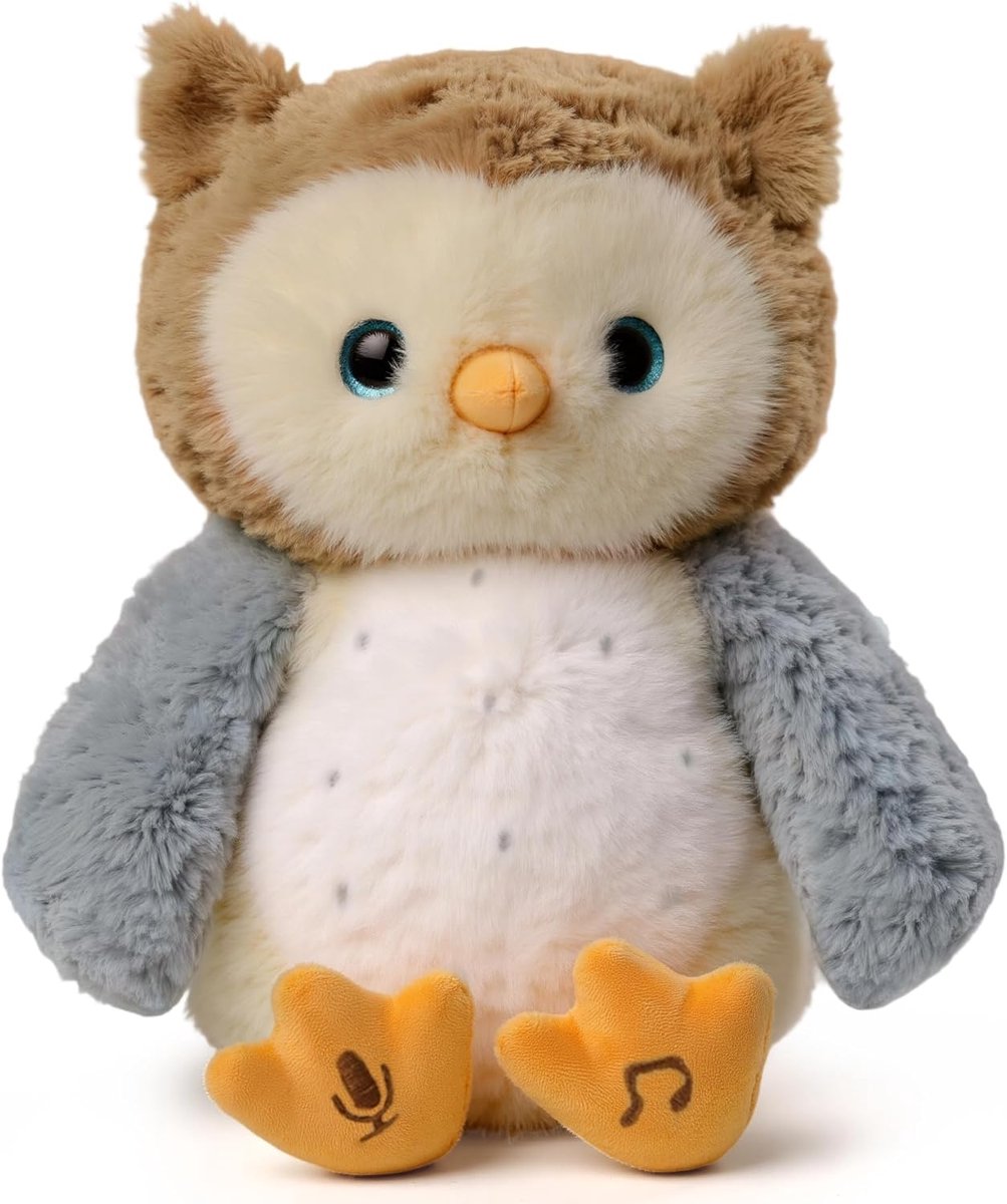 Pluche Uil, Elektrisch Pluche Speelgoed met Opnamefunctie, Muzikaal Pluche Speelgoed met Kinderliedjes, Geschenk voor Kleintjes