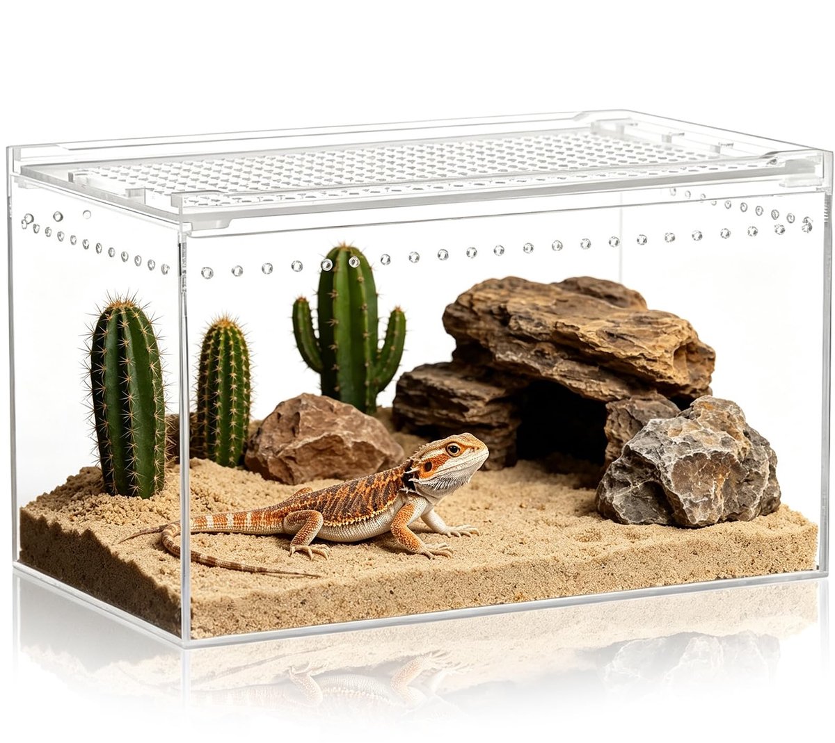 SnelShoppen - Reptielenterrarium Hoogwaardige Acryl Terrarium met Ventilatie, Transparant Glasterrarium voor Reptielen en Insectenhuis Starterset voor