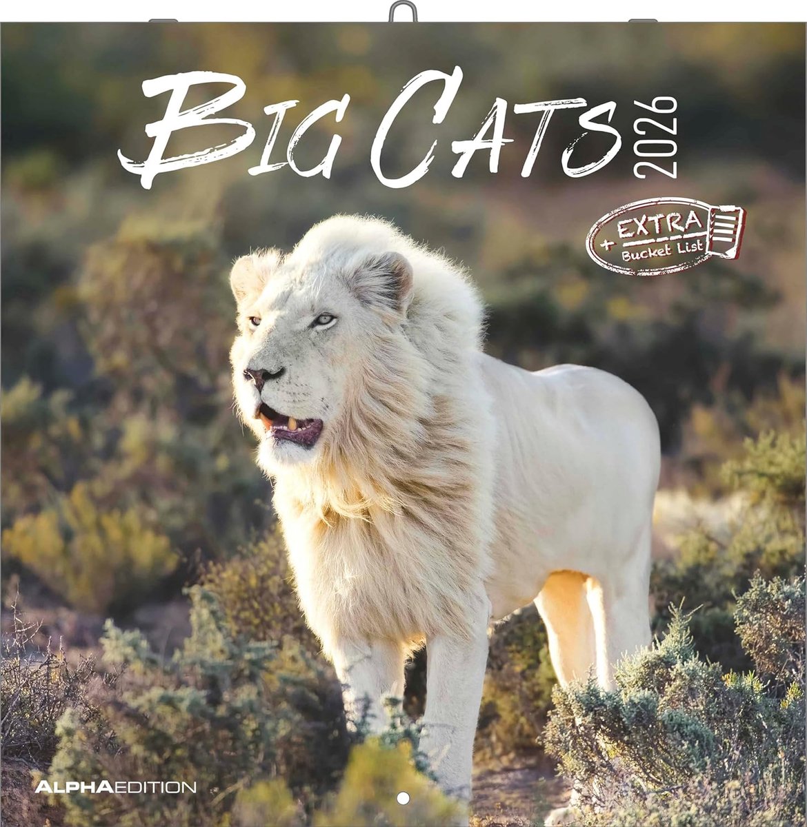 SnelShoppen - Big Cats Kalender 2026 - Wandkalender 30x30 cm - 12 Prachtige Foto's van Raubkatzen - Voor Natuurliefhebbers en Wilddierenfans - Inclusi