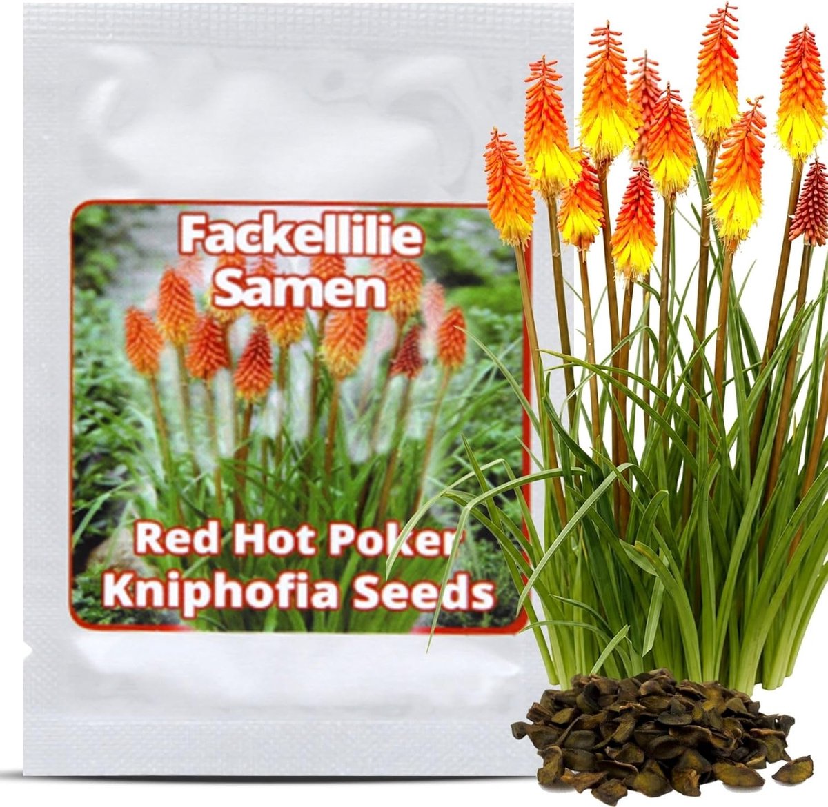 SnelShoppen - Magic of Nature: Vuurpijl Zaden (25 Stuks) Kniphofia uvaria - Perennial - Bijenvriendelijk - Tropische Torchachtige Bloemen voor Tuin en