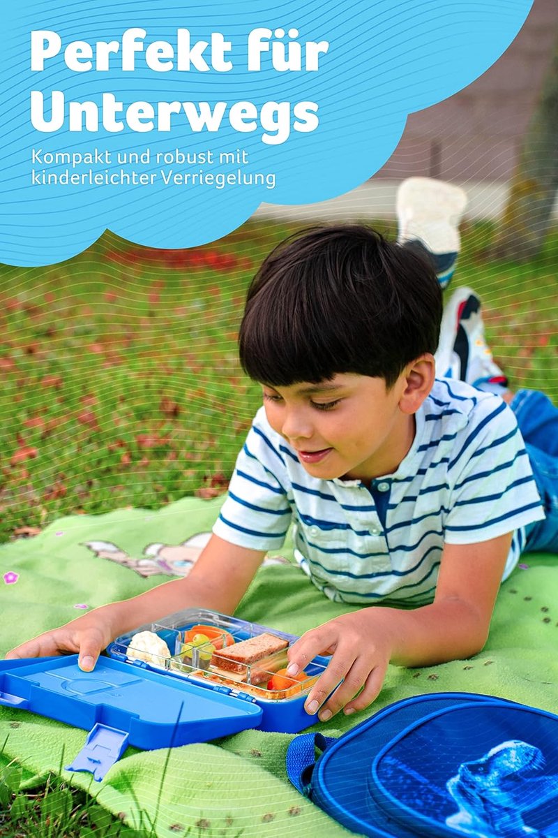 Thijox - Broodtrommel voor Kinderen, 6 Vakken, BPA-vrij, Tritan, Lekvrij, Vaatwasmachinebestendig, Bento Box, Snackbox voor School en Peuterspeelzaal,