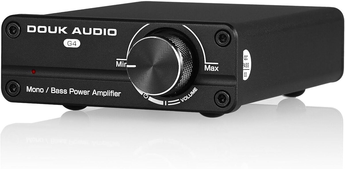 SnelShoppen - Mini Subwoofer & Full Frequency Mono Power Amplifier - 100W Subwoofer Amplifier met B/M Switch, 3.5mm AUX & RCA Ingangen voor Feest, Cam