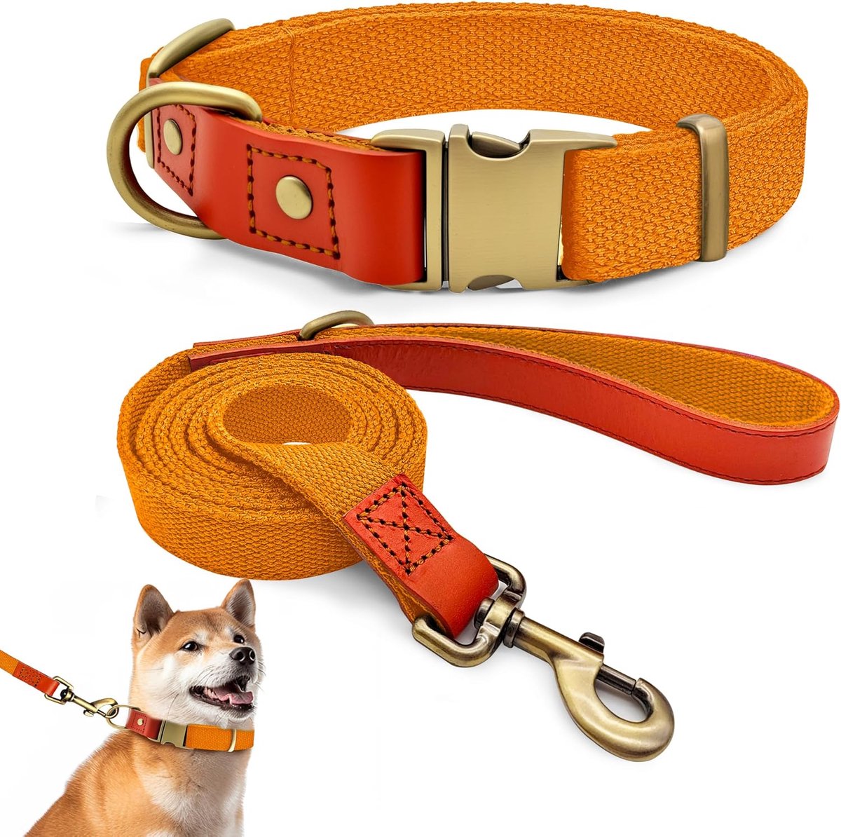 Halsband- en riemset L 38–58 cm, leer met nylon (oranje) | Riem 152 cm, vintage metalen gesp, 360° draaibaar, duurzaam, voor grote honden, voor wandelingen en training