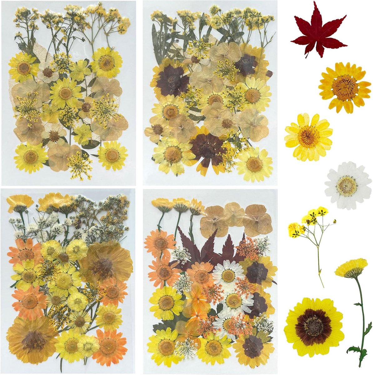 Gedroogde bloemen, gedroogde bladeren voor hars, gedroogde bloemen, echte geperste bloemen voor scrapbooking, sieraden van epoxyhars