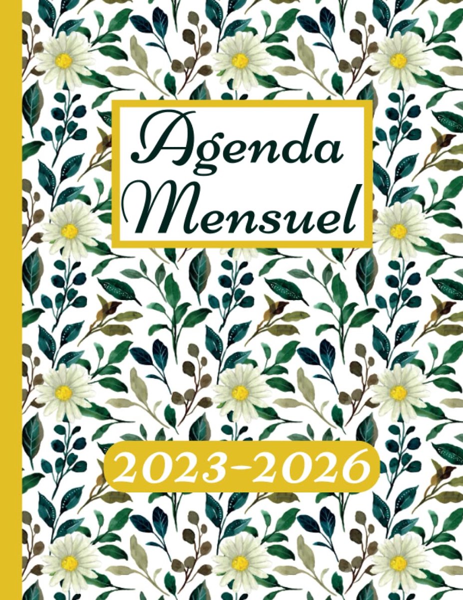 SnelShoppen - 2023-2026 Agenda Mensuel - 4 Jaar Planner met 48 Maanden, 228 Pagina's, Inclusief Feestdagen, Perfect voor Organisatie en Planning