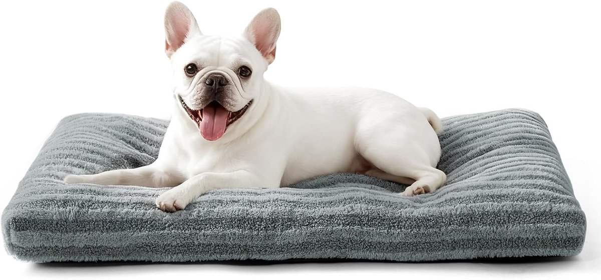 Hondenmand voor Kleine Honden, Wasbaar Hondenkussen Zacht en Donzig, Ademend Hondenbed Antislip, Pluche Hondenmat, 61x47x8cm